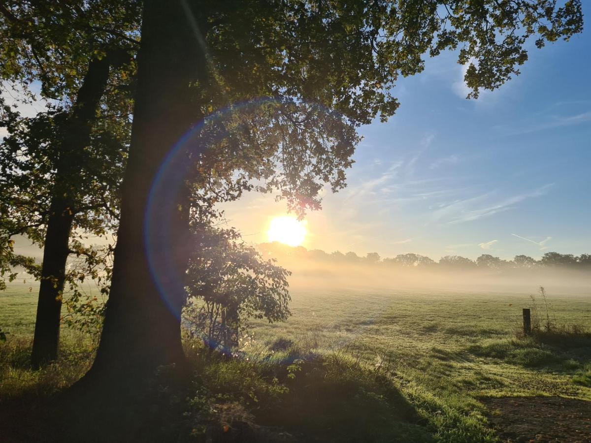 Ferienwohnung In Den Wiesen Wesel  Esterno foto